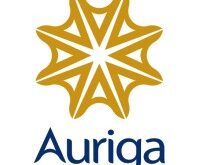 Auriga International Management Consultants