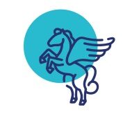 Pegasus Healthcare