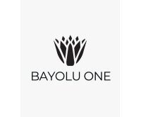 Bayolu Investments