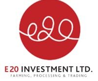 E20 Investment