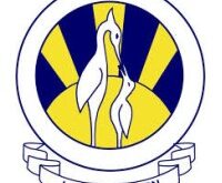 The City School International